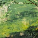 Flexible Jiuzhaigou Day Tour Options: Shared or Private - Why Value Matters