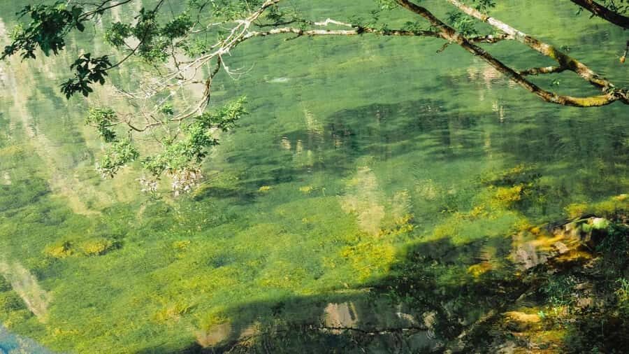 Flexible Jiuzhaigou Day Tour Options: Shared or Private - Why Value Matters