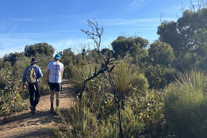 Flinders Chase Private Luxury Tour - The Itinerary Breakdown: What to Expect