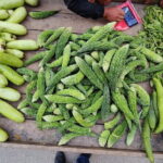 Folklore and Everyday Life in Ancient Patan - The Value of This Tour