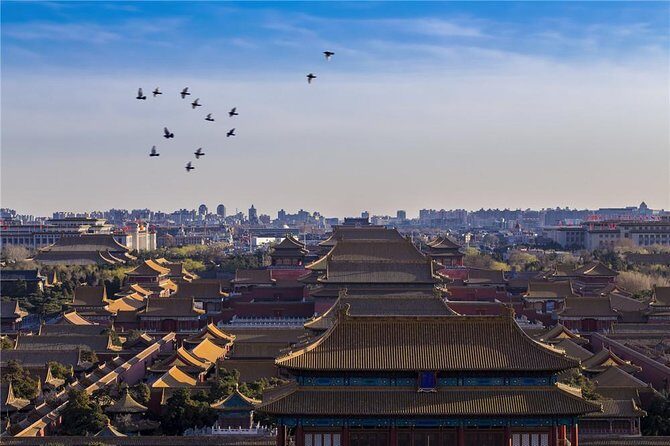 Forbidden City and Imperial Garden Tour in Beijing - Who Will Love This Tour?