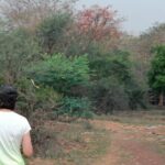 Forest Trail Hiking Adventure-Gurgaon by @Aravali.Hikes - Who Should Consider This Tour?