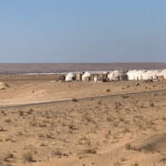 Fortress Day Trip Tour Departure from Khiva - Final Thoughts: Who Will Love This Tour?