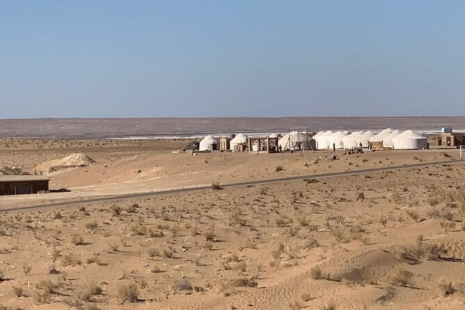 Fortress Day Trip Tour Departure from Khiva - Final Thoughts: Who Will Love This Tour?