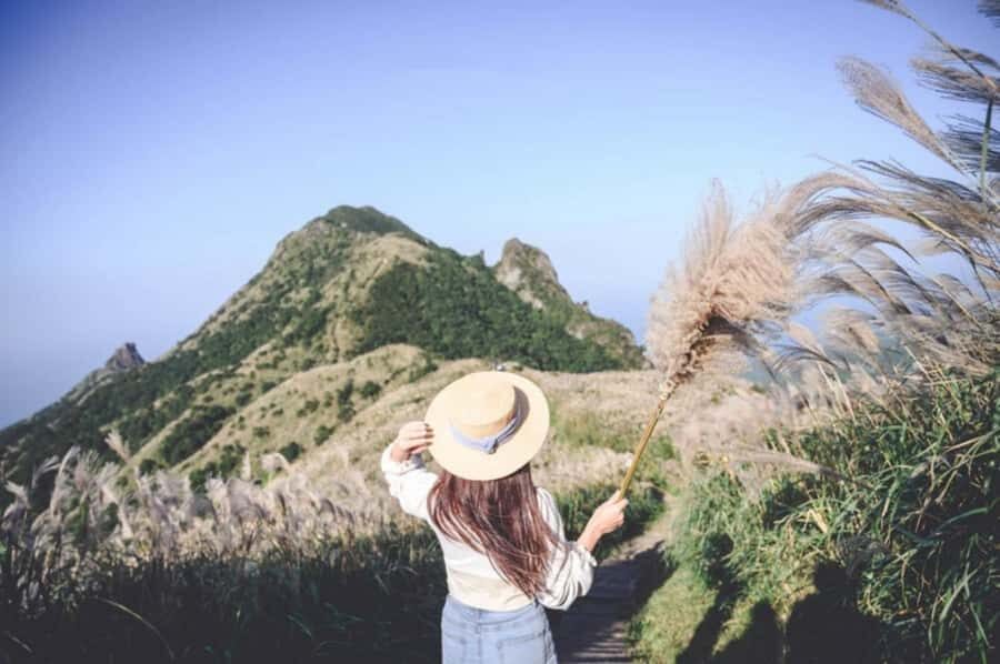 Four-Day In-Depth Tour of Northern Taiwan - Exploring Taipei’s Cultural and Culinary Scene