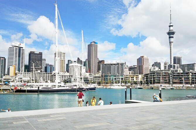 Four Hour Private Auckland Sightseeing Tour - What to Expect from This Auckland Tour