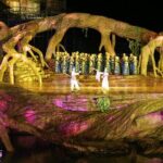 Fox Fairy Show VIP ticket with round trip private transport - A Closer Look at the Fox Fairy Show Experience