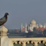 From Agra: Taj Mahal, Agra Fort & Baby Taj Guided Tour - What’s Included and What to Consider