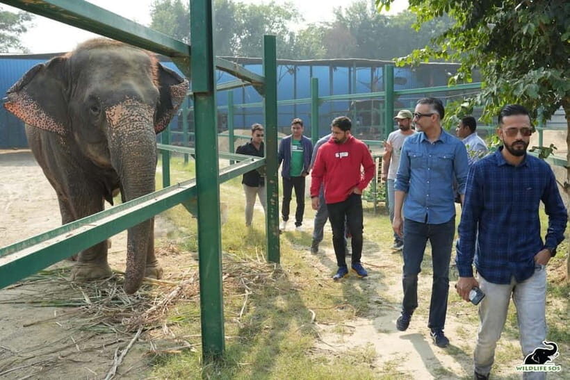 From Agra: Visit to Wildlife SOS Elephant Conservation Trip - What to Keep in Mind