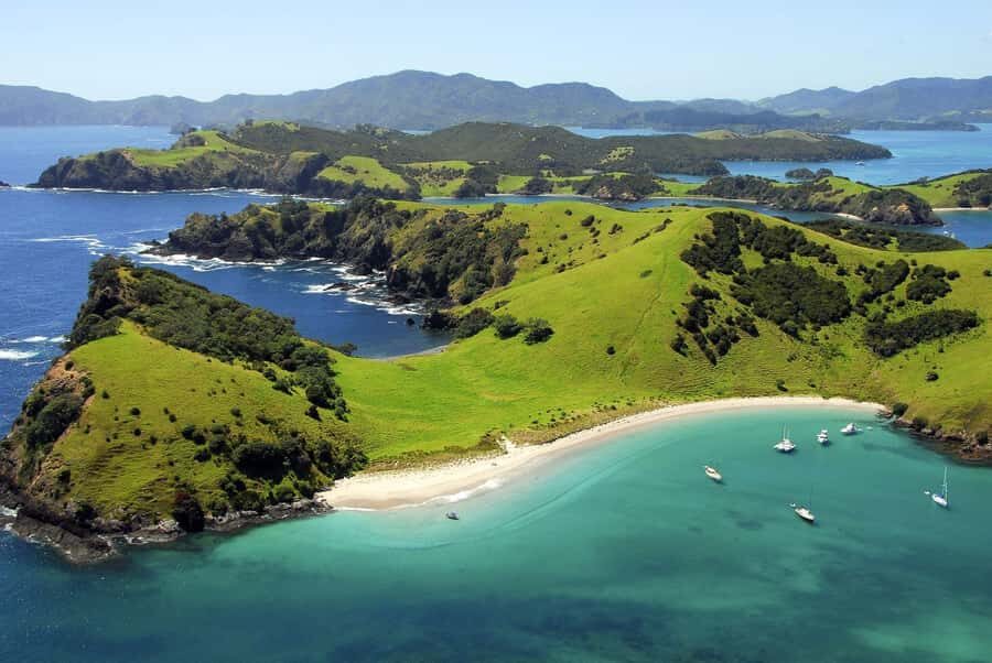 From Auckland: Full Day Private Tour to the Bay of Islands - Exploring Paihia and the Marine Environment
