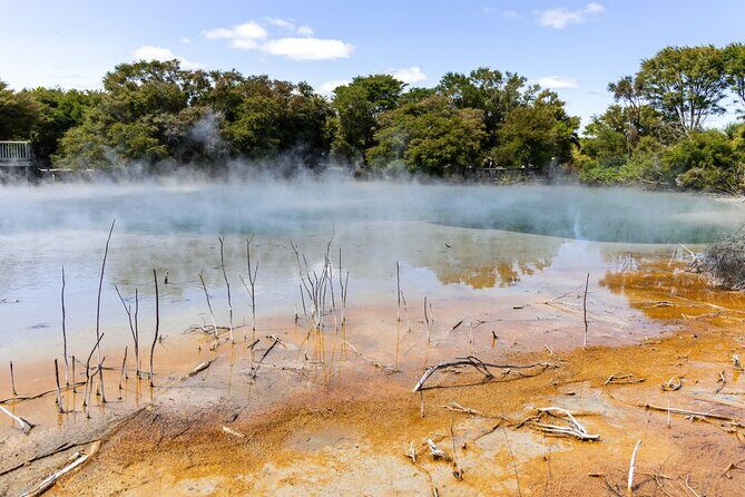 From Auckland: Rotorua & Waitomo Wonders Tour - Exploring the Waitomo Glowworm Caves