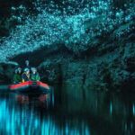 From Auckland: Waitomo Glowworm Cave Tour - Who Is This Tour Best Suited For?