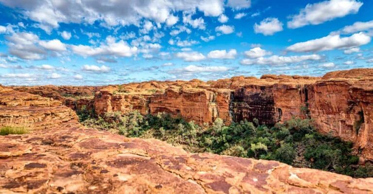From Ayers Rock Resort: 4-Day, 3-Night Outback Escape - What Makes This Tour Stand Out?