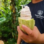 From Bali: Cooking Class at Ubud Organic Farm - Who Is This Tour Best For?
