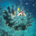 From Bali: Gili Islands Private Snorkeling Day Trip - The Itinerary Breakdown