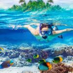 From Bali: Half Day Snorkeling 3 Spots to Lembongan & Penida - Analyzing the Value