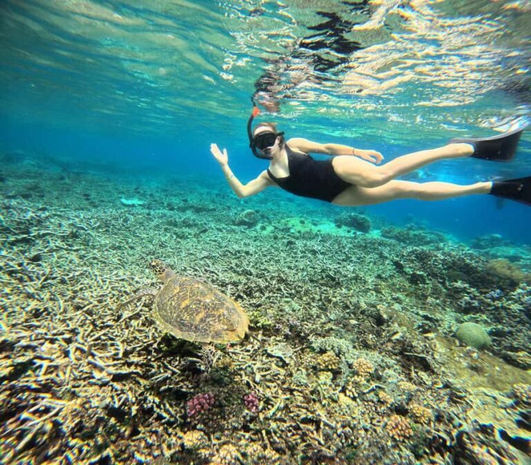 From Bali: Manta Rays Snorkeling with Lembongan Land Tour - An honest look at the experience