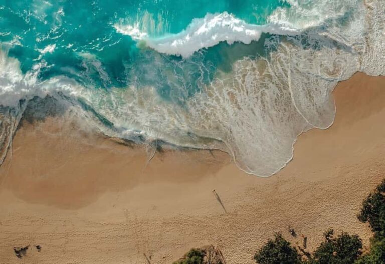 From Bali: Nusa Penida Day Trip - Beaches & Tree House - What’s Included and What to Know