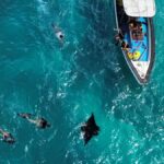 From Bali: Nusa Penida Full Day Private Snorkeling Tour - The Practical Side: Transport, Duration, and Value