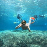From Bali: Nusa Penida Full Day Tour and Snorkeling - Practical Details and Tips