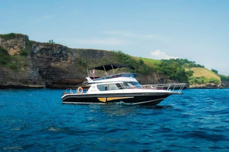From Bali: Nusa Penida Manta Snorkel by Luxury Private Yacht - The Value of This Tour
