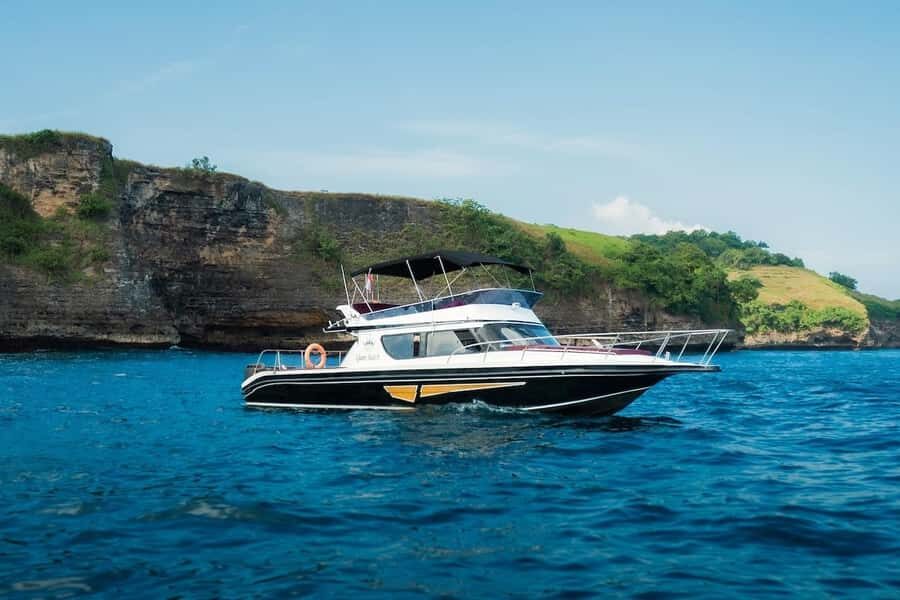 From Bali: Nusa Penida Manta Snorkel by Luxury Private Yacht - The Value of This Tour