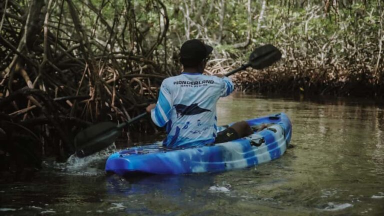 From Bali: Nusa Penida Snorkel 3 Spots w/ GoPro & Kayak tour - The Balance of Experience and Practicalities