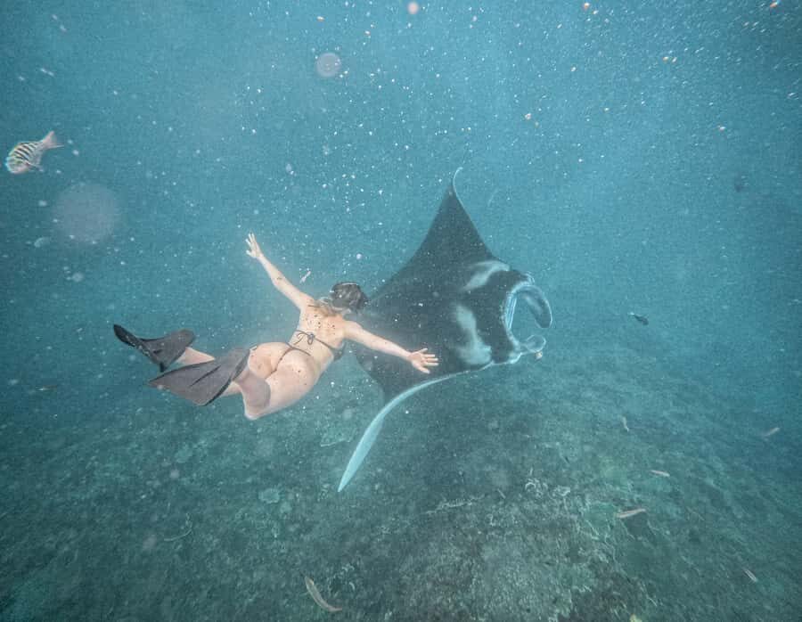 From Bali: Snorkeling 3 Spots with GoPro & West Penida Tour - What Makes This Tour Stand Out?