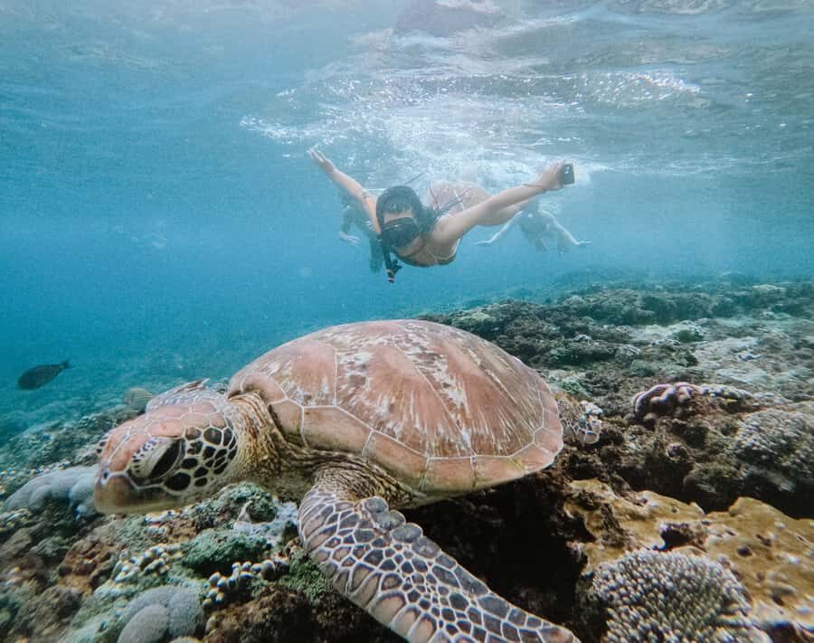 From Bali: Snorkeling at Manta Point Nusa Penida & Land Tour - The Itinerary in Detail: What to Expect