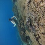 From Bali to Nusa Penida and Snorkel with Manta Ray + Lunch - An In-Depth Look at the Tour Experience
