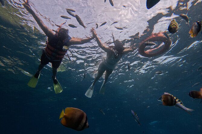From Bali West Nusa Penida Tour and Private Snorkeling - What Travelers Say About This Tour