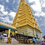 From Bangalore: Full-Day Mysore Sightseeing w/Guide - Who Would Enjoy This Tour?