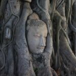 From Bangkok: Ayutthaya UNESCO World Heritage Site Day Trip - The Logistics and Experience