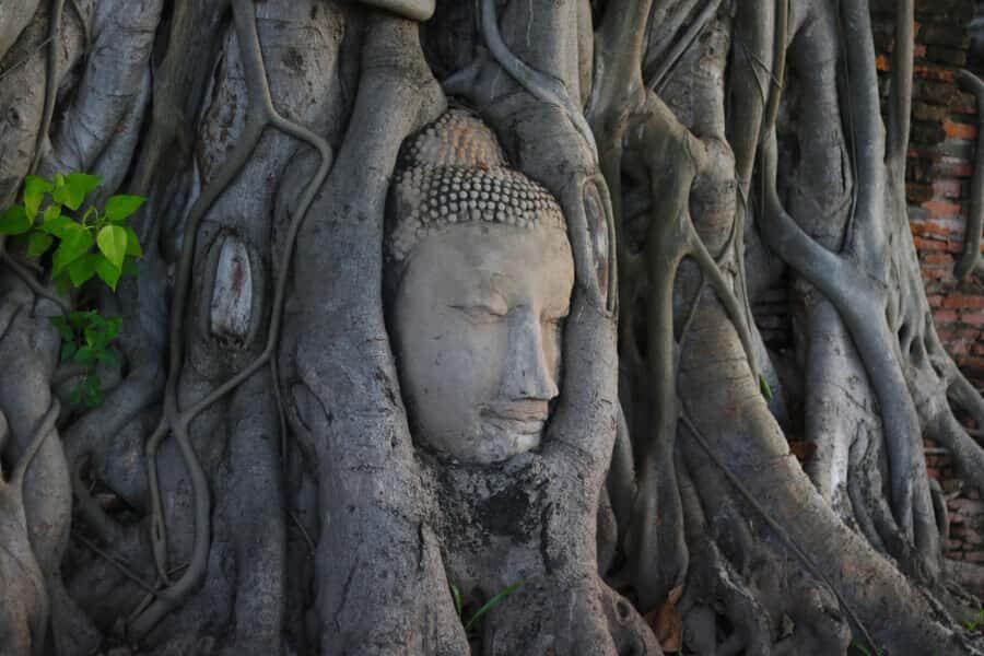 From Bangkok: Ayutthaya UNESCO World Heritage Site Day Trip - The Logistics and Experience