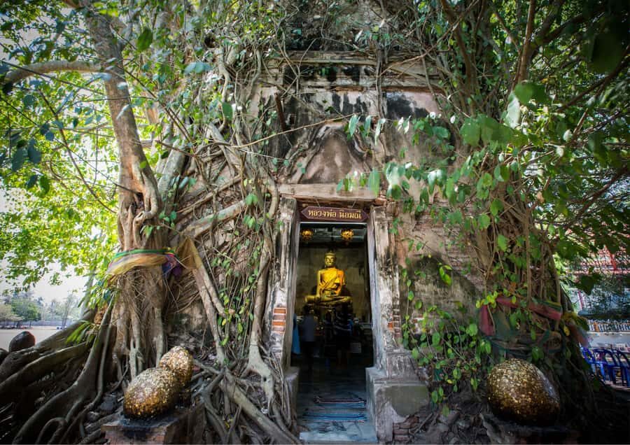 From Bangkok: Taste and Tune of Samut Songkhram Private Tour - The Value of This Tour