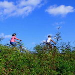 From Bentota/ Beruwala: Scenic Countryside Cycling Adventure - What Makes This Tour Stand Out?