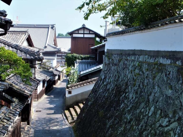 From Beppu: Usuki City Cultural Private Tour - Why This Tour Works for Travel Enthusiasts