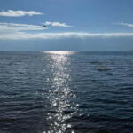 From Bishkek: Private 8-Day Guided Tour of Kyrgizistan - What’s Included and What’s Not