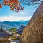 From Busan: Hidden Buddhist Temples Tour Private Day Trip - Practical Details & Tips
