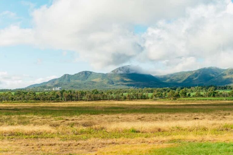 From Cairns: Chillagoe Caves and Outback Full-Day Tour - Realistic Expectations and Practical Tips