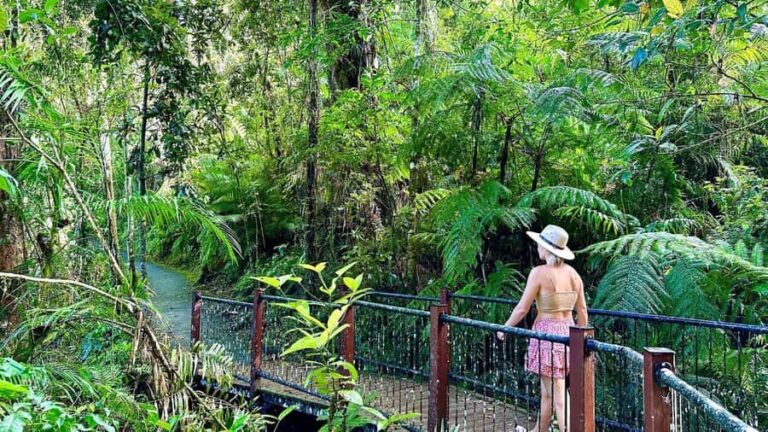 From Cairns: Waterfall Tour with Lunch - What We Love About This Tour