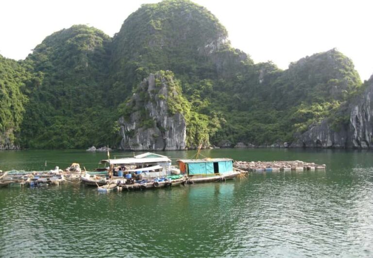 From Cat Ba: Lan Ha Bay-Halong Bay, Kayak, Snorkel, Swimming - The Itinerary in Detail
