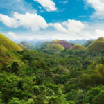 From Cebu: Day Trip to Bohol Highlights - Transportation and Guide Experience