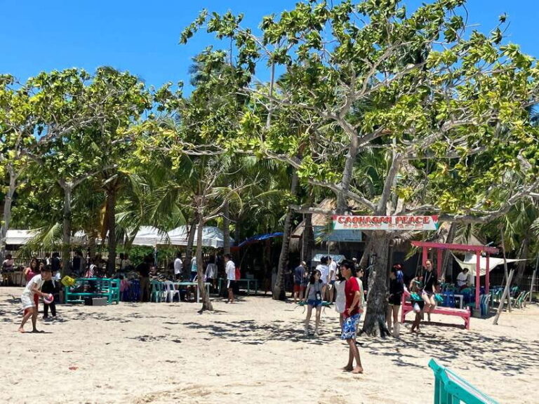 From Cebu: Island Hopping to 3 islands with BBQ lunch - The Lunch Experience: Filipino BBQ at Sea