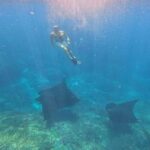 From Ceningan: Snorkeling with Manta Rays & Land Tour - Who Is This Tour Best For?