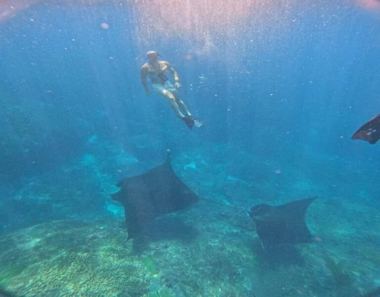 From Ceningan: Snorkeling with Manta Rays & Land Tour - Who Is This Tour Best For?