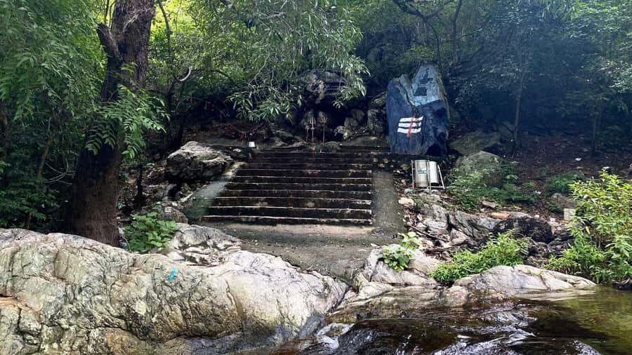 From Chennai: Waterfalls Guided Trek with Trek Guide & Lunch - Discovering Nagalapuram: An Authentic Eco-Adventure