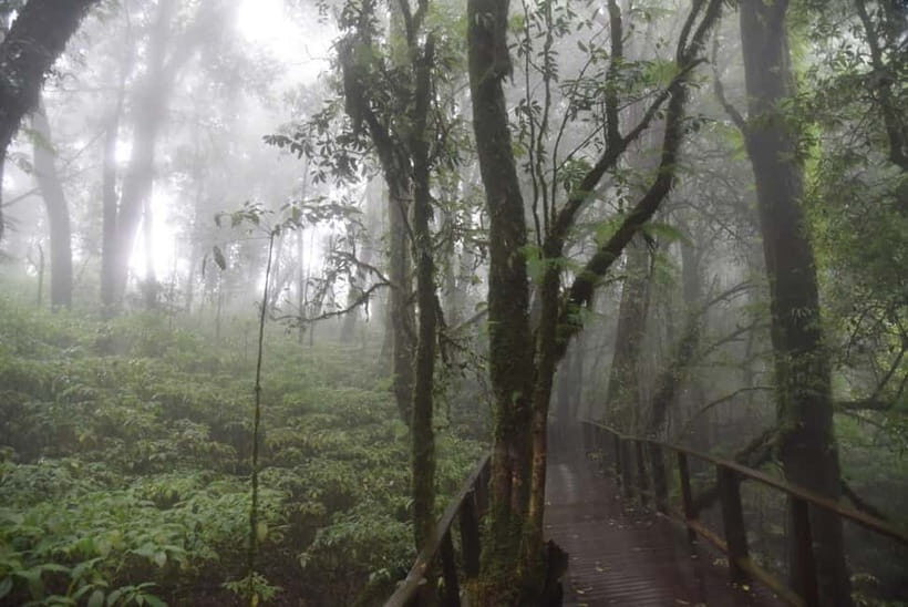 From Chiang Mai: Doi Inthanon National Park Day Trip - The Itinerary in Detail: What to Expect