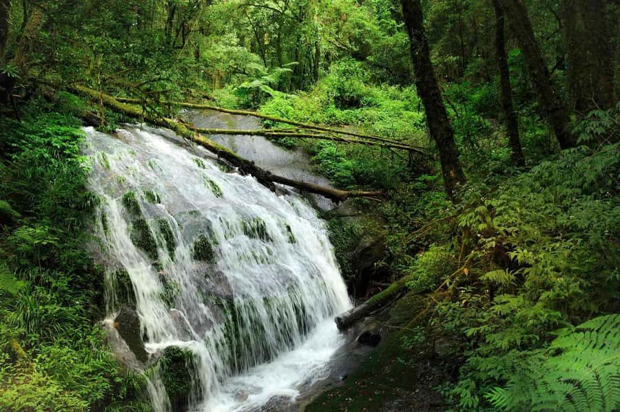From Chiang Mai: Doi Inthanon Park, Waterfall & Lunch Tour - Why This Tour Offers Value