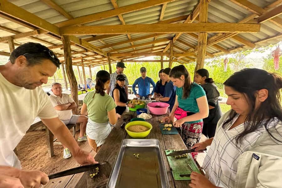 From Chiang Mai: Elephant Sanctuary & Pad Thai Workshop - What Sets This Tour Apart